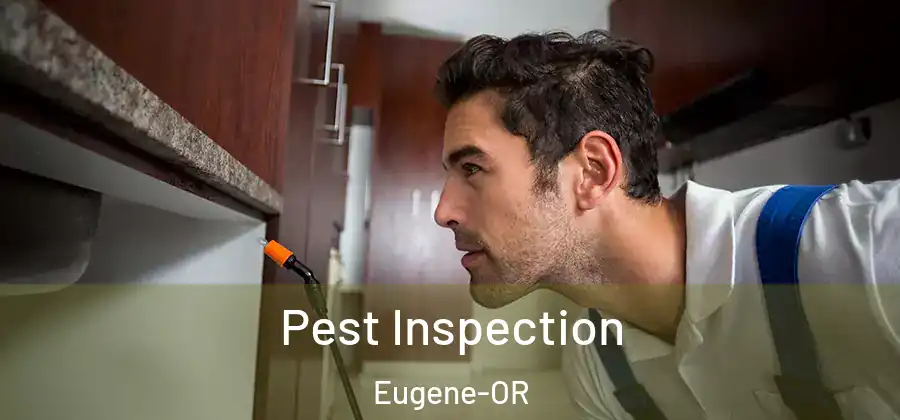 Pest Inspection Eugene-OR