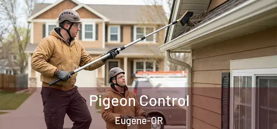  Pigeon Control Eugene-OR