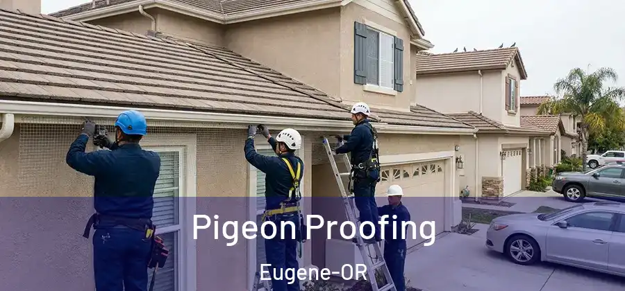  Pigeon Proofing Eugene-OR