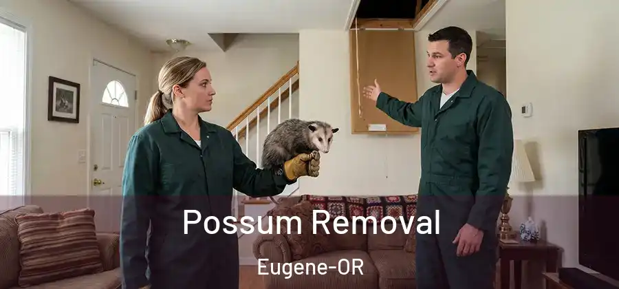  Possum Removal Eugene-OR