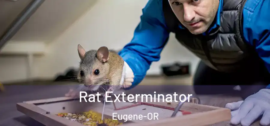  Rat Exterminator Eugene-OR