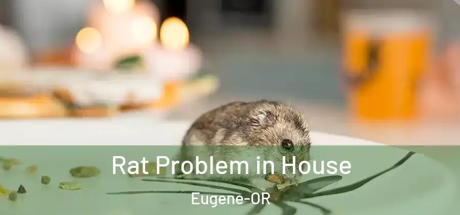  Rat Problem in House Eugene-OR