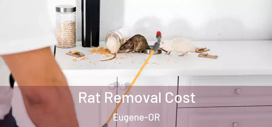  Rat Removal Cost Eugene-OR