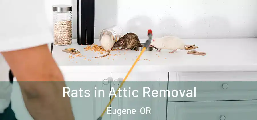  Rats in Attic Removal Eugene-OR