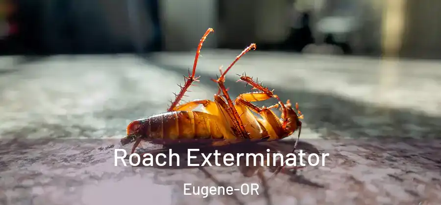  Roach Exterminator Eugene-OR