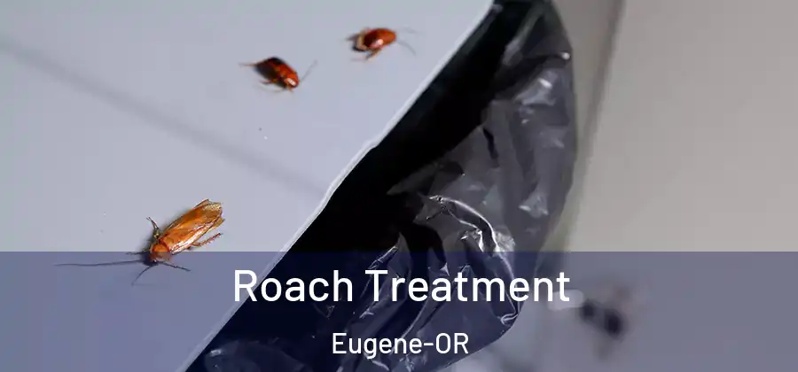  Roach Treatment Eugene-OR