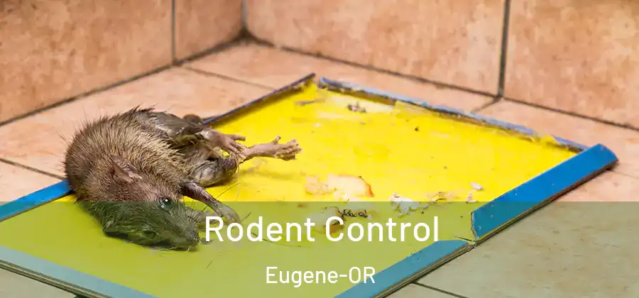  Rodent Control Eugene-OR