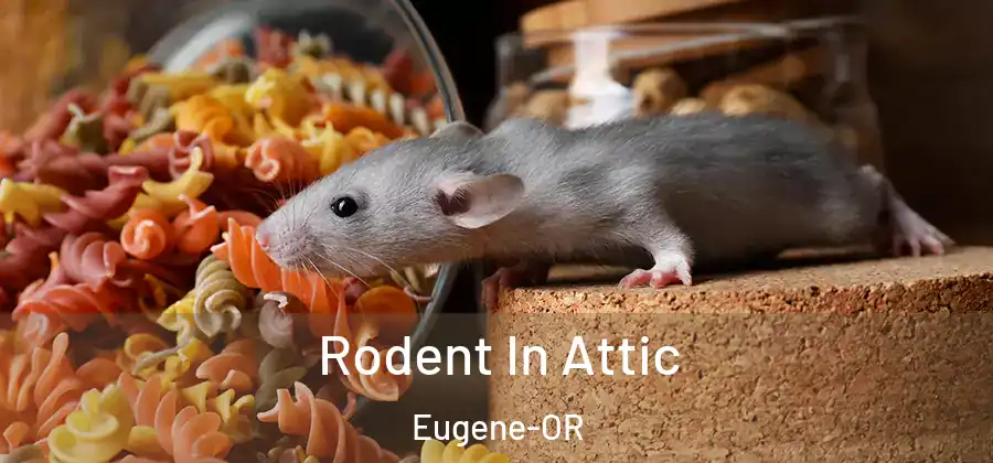  Rodent In Attic Eugene-OR