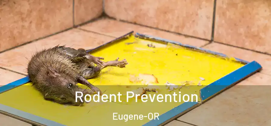  Rodent Prevention Eugene-OR