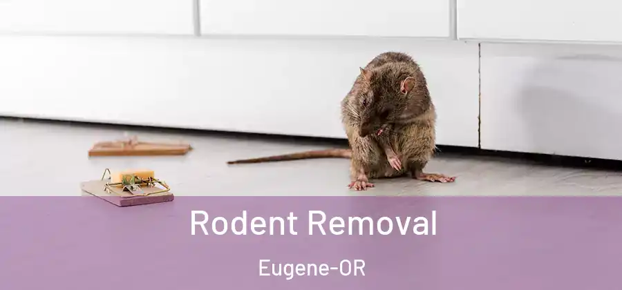  Rodent Removal Eugene-OR