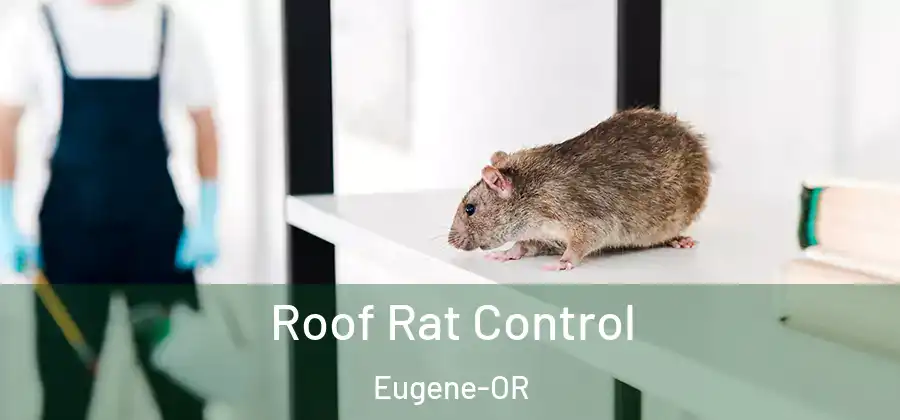  Roof Rat Control Eugene-OR