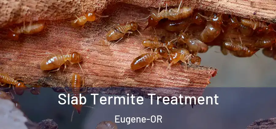 Slab Termite Treatment Eugene-OR