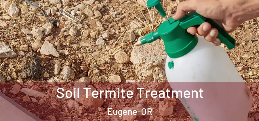  Soil Termite Treatment Eugene-OR