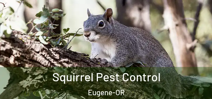 Squirrel Pest Control Eugene-OR