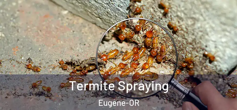  Termite Spraying Eugene-OR