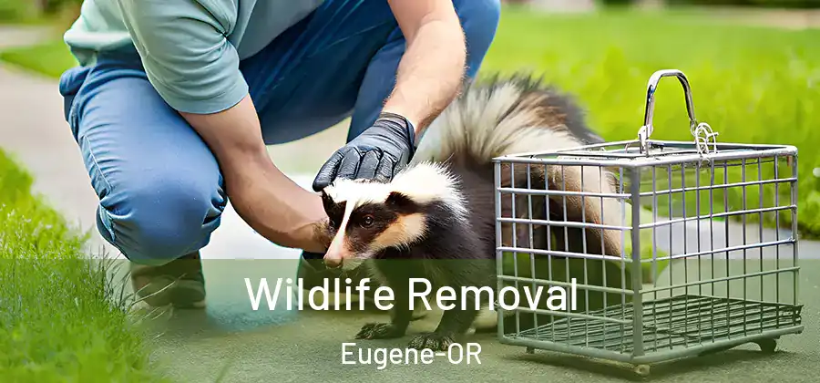  Wildlife Removal Eugene-OR