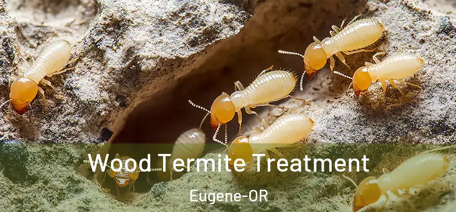  Wood Termite Treatment Eugene-OR